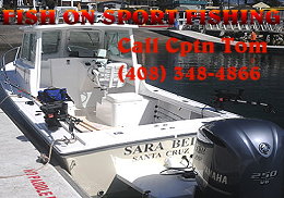 Fish On Sportfishing